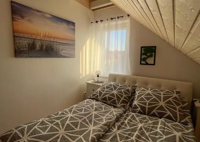 Maciej Willa Kopalino